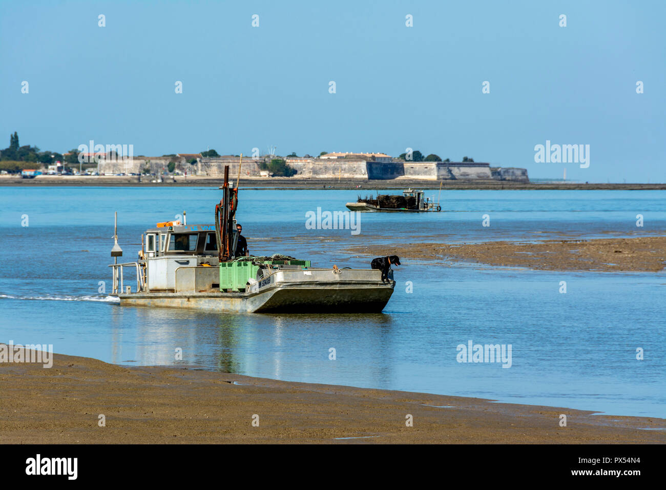 Bateau à fond plat d'huîtres au fort Louvois, le château d'Oléron en arrière-plan, Charente Maritime, Nouvelle Aquitaine, France Banque D'Images