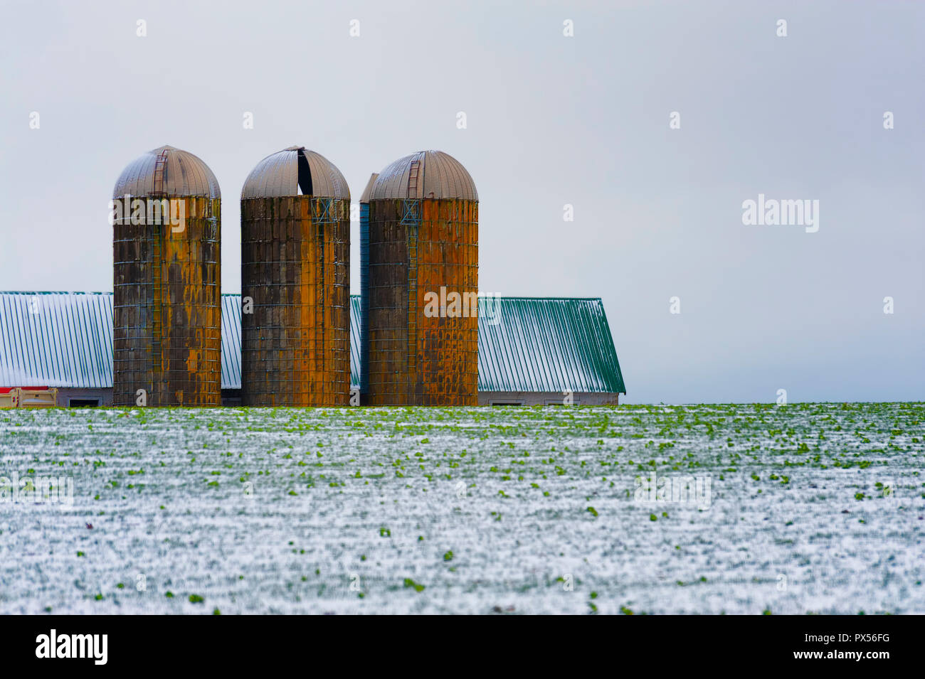 Paysage abstrait du domaine agricole avec trois silos et un toit grange montrant de l'autre côté du champ couvert de neige légèrement sur une colline. Banque D'Images