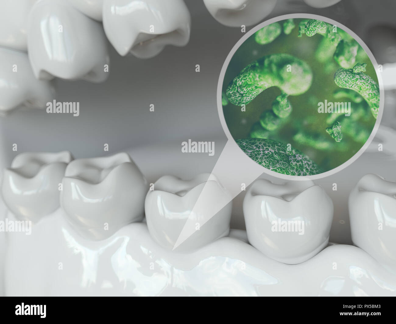 Les bactéries et les virus autour de 2 dents 2 -- 3D Rendering Banque D'Images