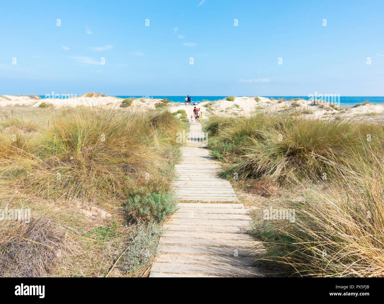 Plage Près de Oliva sur la Costa del Azahar, près de Denia, Espagne, province de Valence Banque D'Images