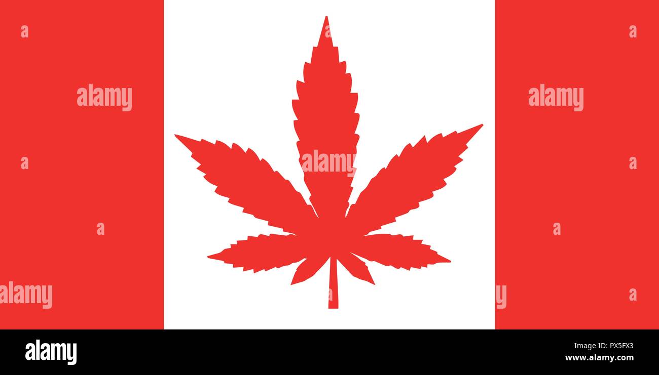 Pavillon du Canada design avec une feuille de cannabis rouge. Concept de la légalisation de la marijuana au Canada. Le rouge et le blanc ou l'illustration. Illustration de Vecteur