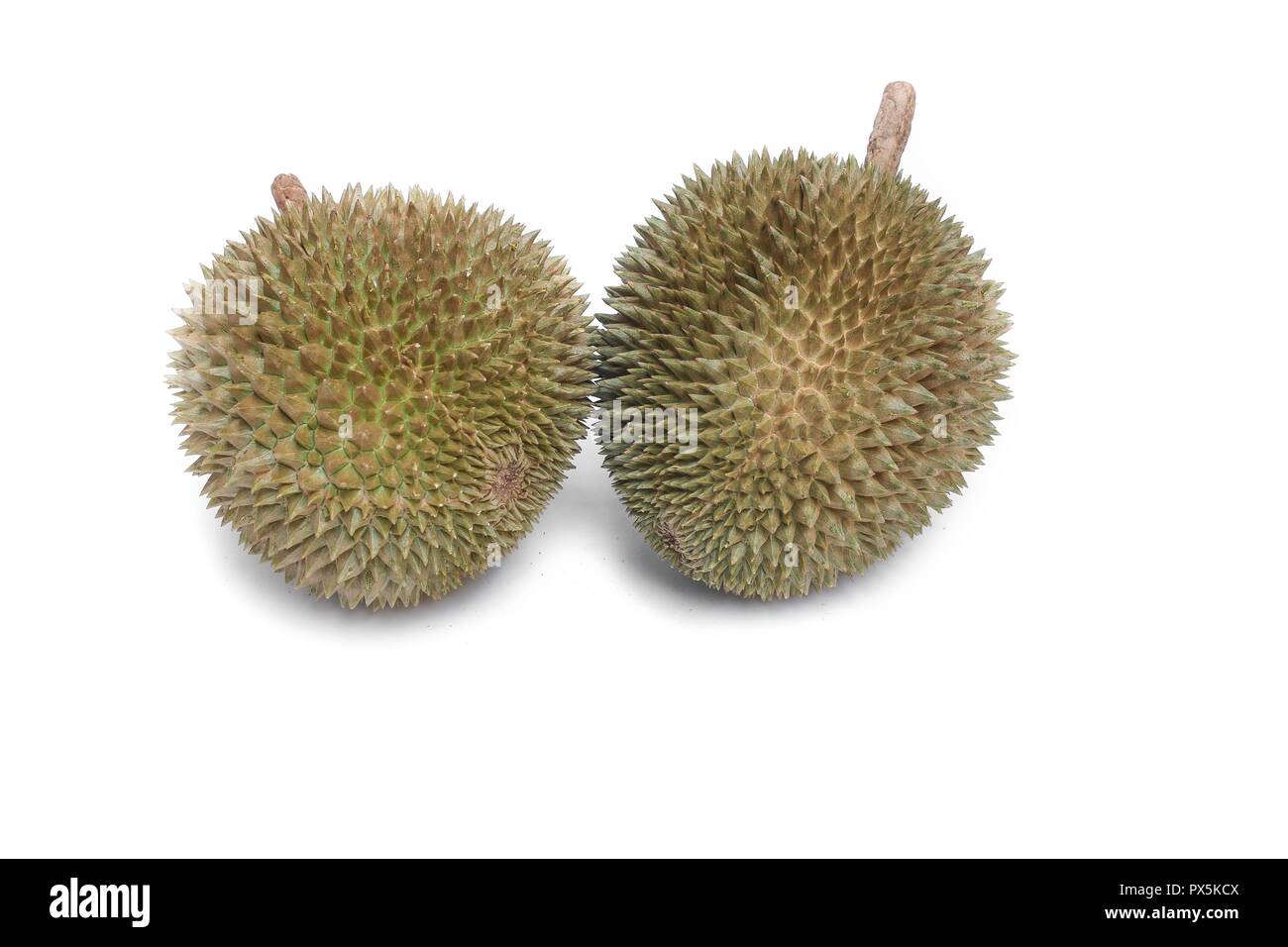 Durian avec shell, roi de fruits sur fond blanc. Banque D'Images