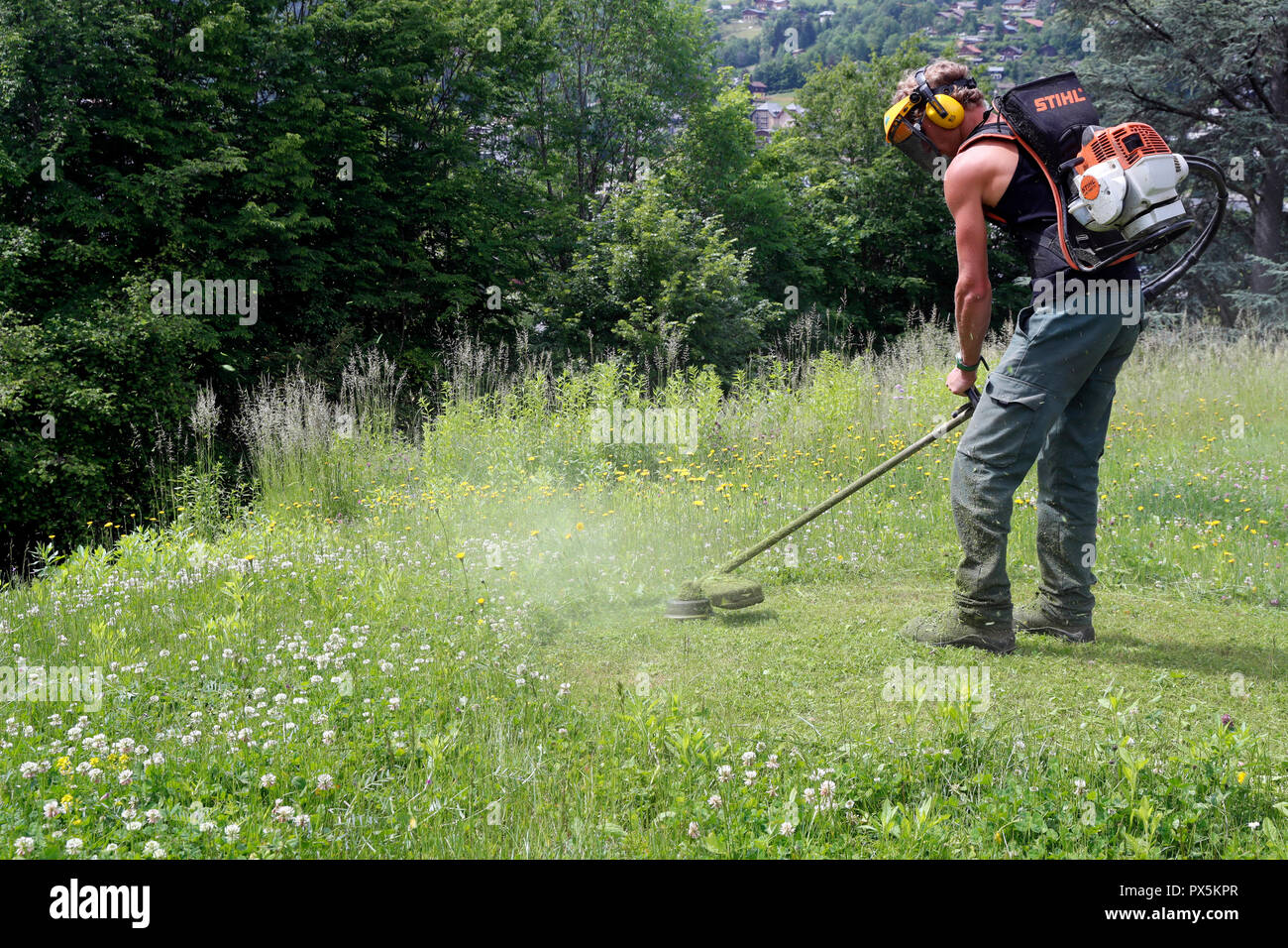 Gardner cutting grass point avec débroussailleuse. La France. Banque D'Images