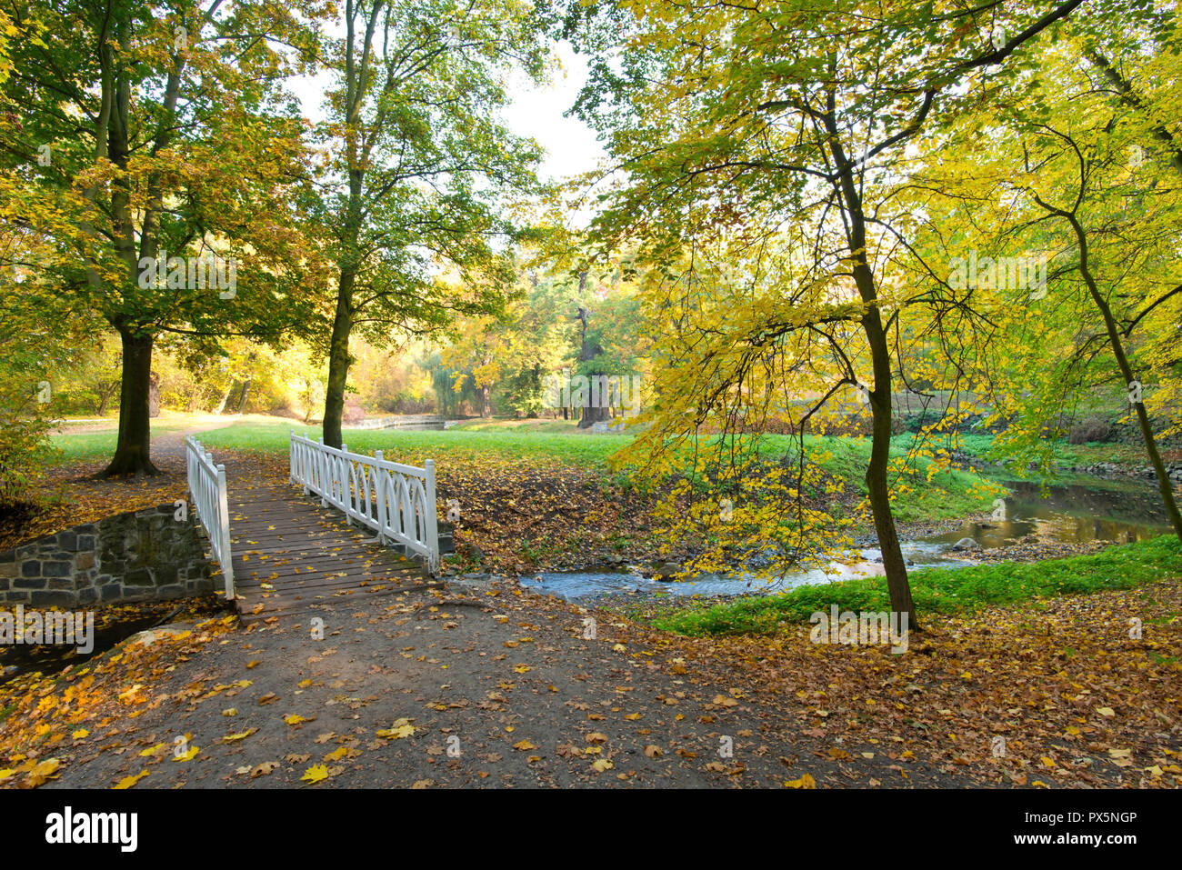 Petite rivière dans le parc. Humeur d'automne. Banque D'Images
