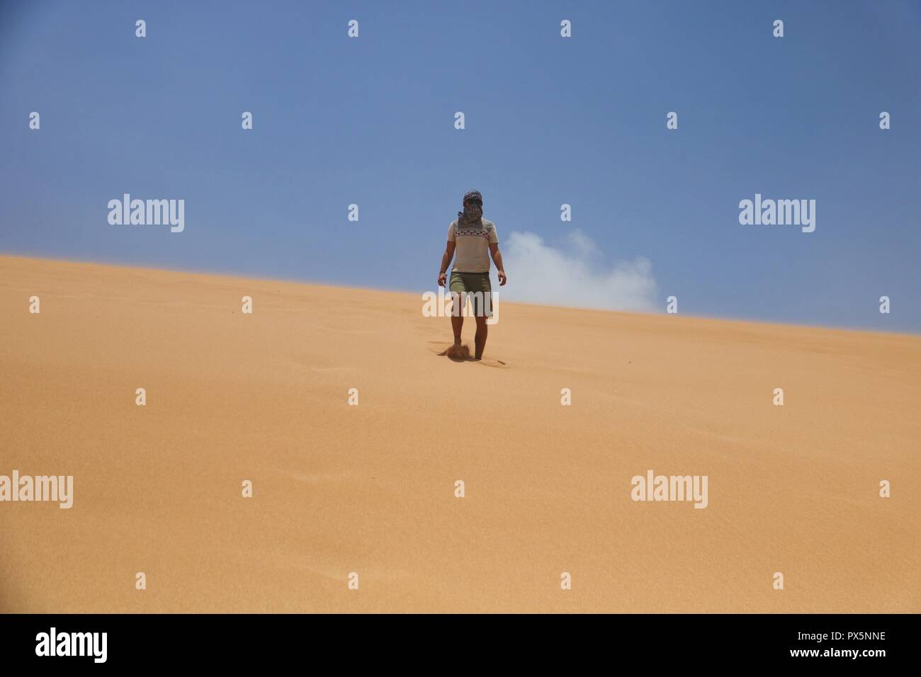 Voyage dans le désert au sommet d'une dune. Banque D'Images