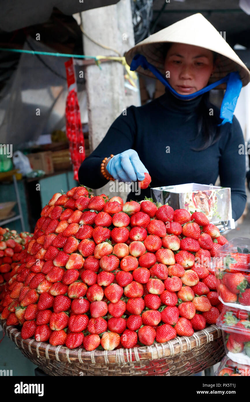 Vietnamese woman selling fraises fraîches à la rue du marché. Dalat. Le Vietnam. Banque D'Images