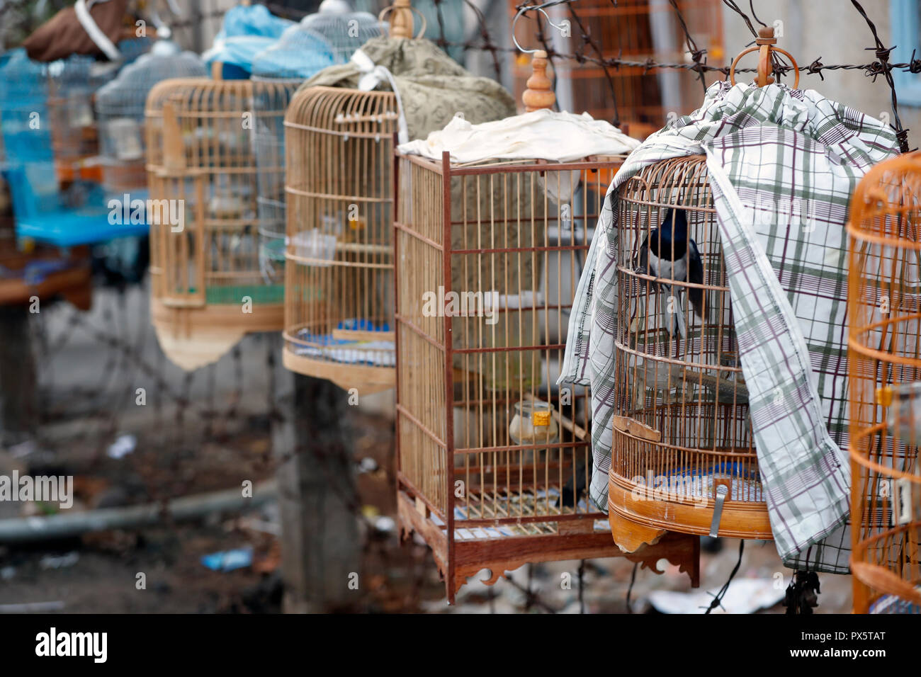 Oiseaux en cage de bambou suspendues sur le trottoir. Cai Be. Le Vietnam. Banque D'Images