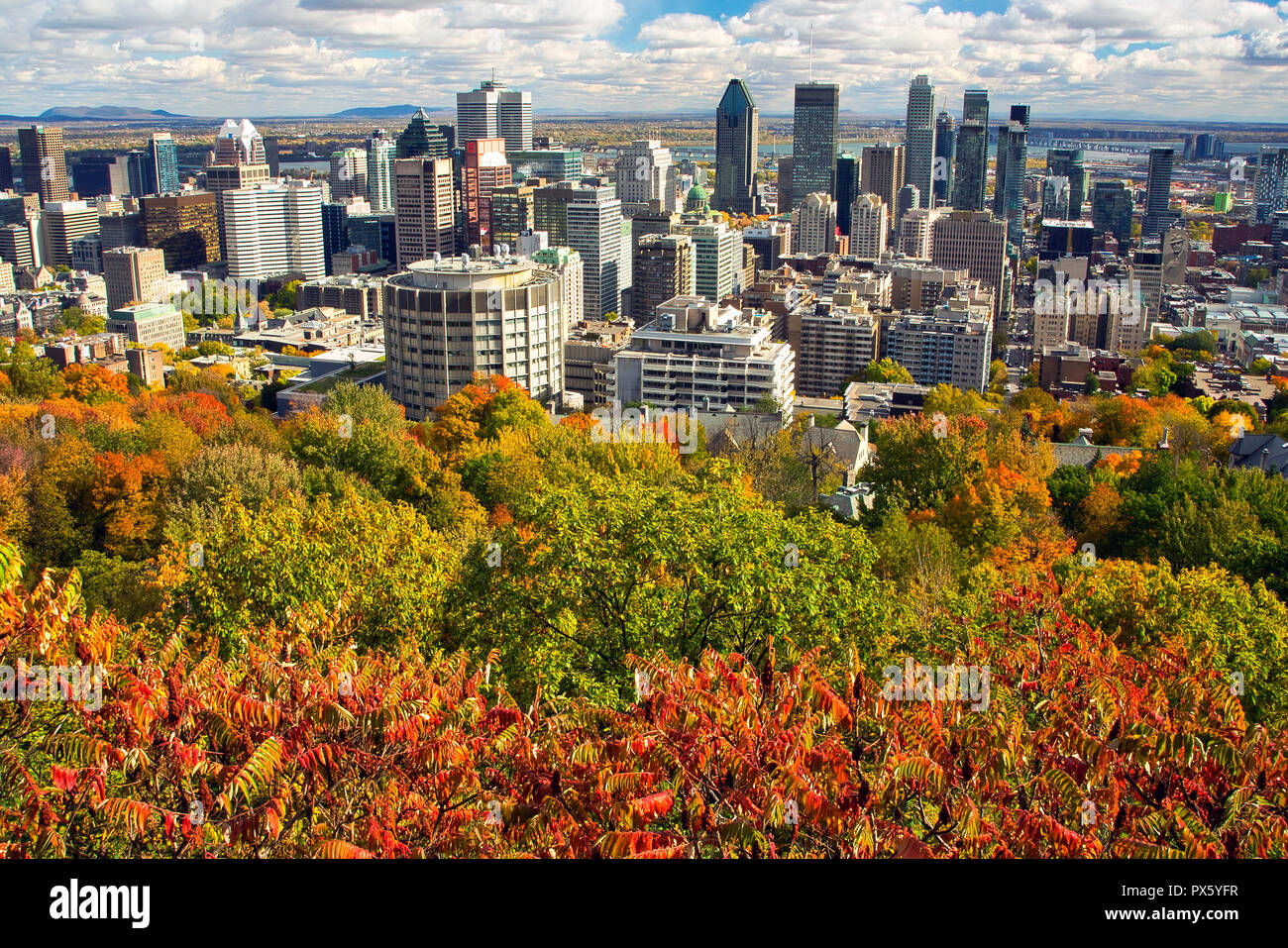 Montréal,Canada,18 octobre,2018.Vue sur les toits de Montréal au cours de l'automne. Credit:Mario Beauregard/Alamy Live News Banque D'Images