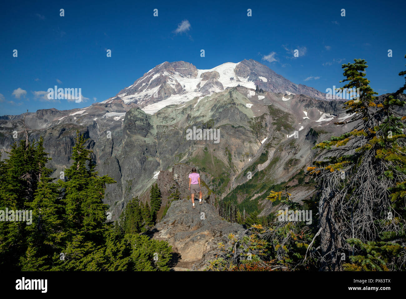 WASHINGTON - Aurora pic dans Mount Rainier National Park. Banque D'Images