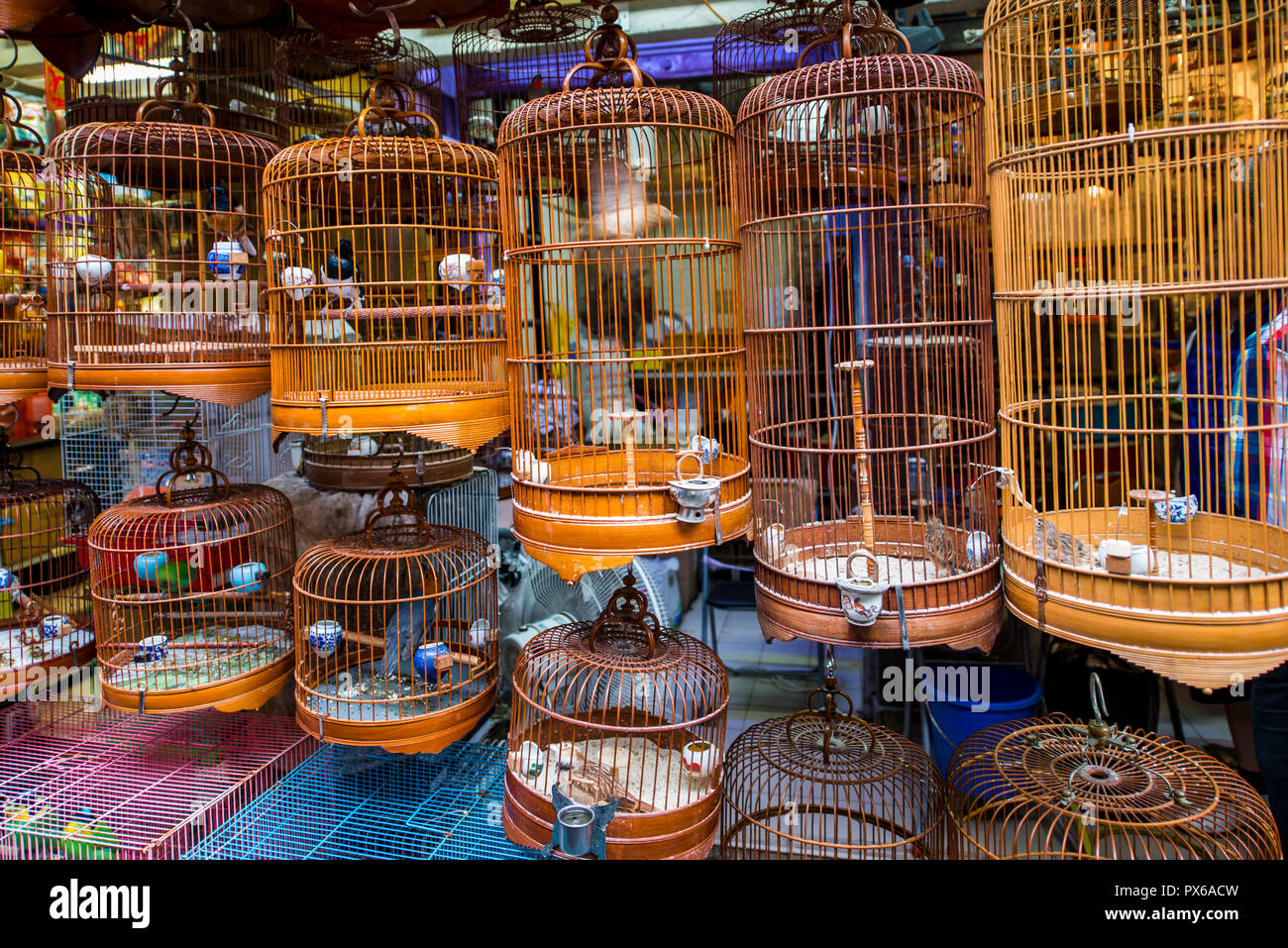 Yuen Po Street Bird Garden market, Mongkok, Kowloon, Hong Kong, Chine. Banque D'Images