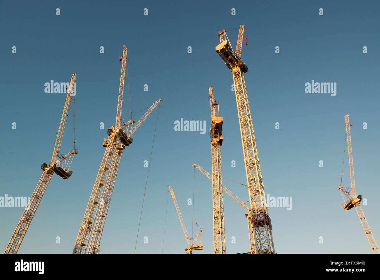 Un certain nombre de grues Sisk rester inactif pendant le début de soirée sur le site du cercle complexe carré sur Oxford Road, Manchester, Royaume-Uni. Banque D'Images