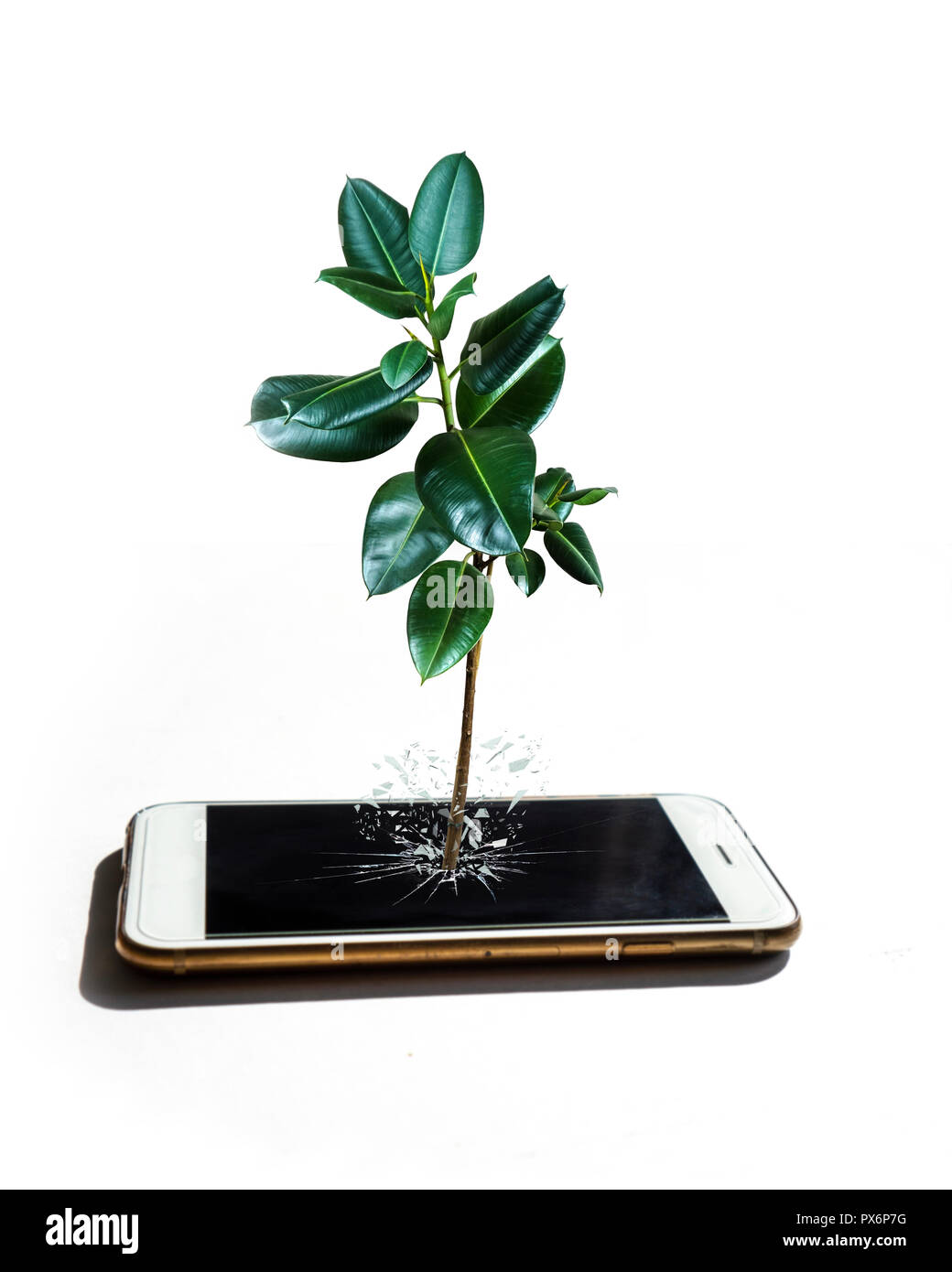 Par rapport à la nature puissante technologie / croissance de la technologie concept isolé sur blanc / photo sur une plante en train de devenir des / unpluged concept Banque D'Images