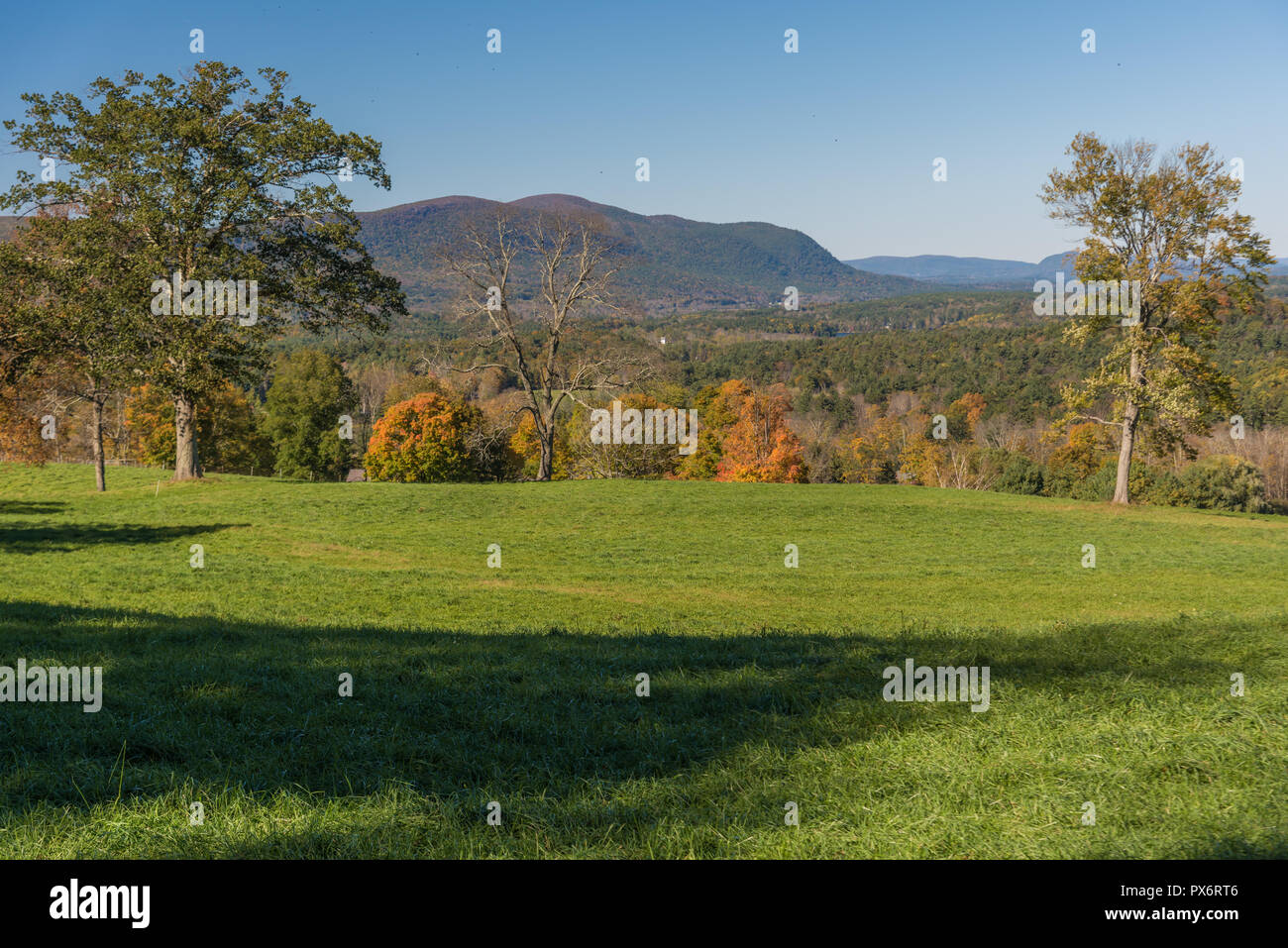 Au début de l'automne en Nouvelle Angleterre avec le feuillage jaune vif pris dans la lumière du soleil Banque D'Images