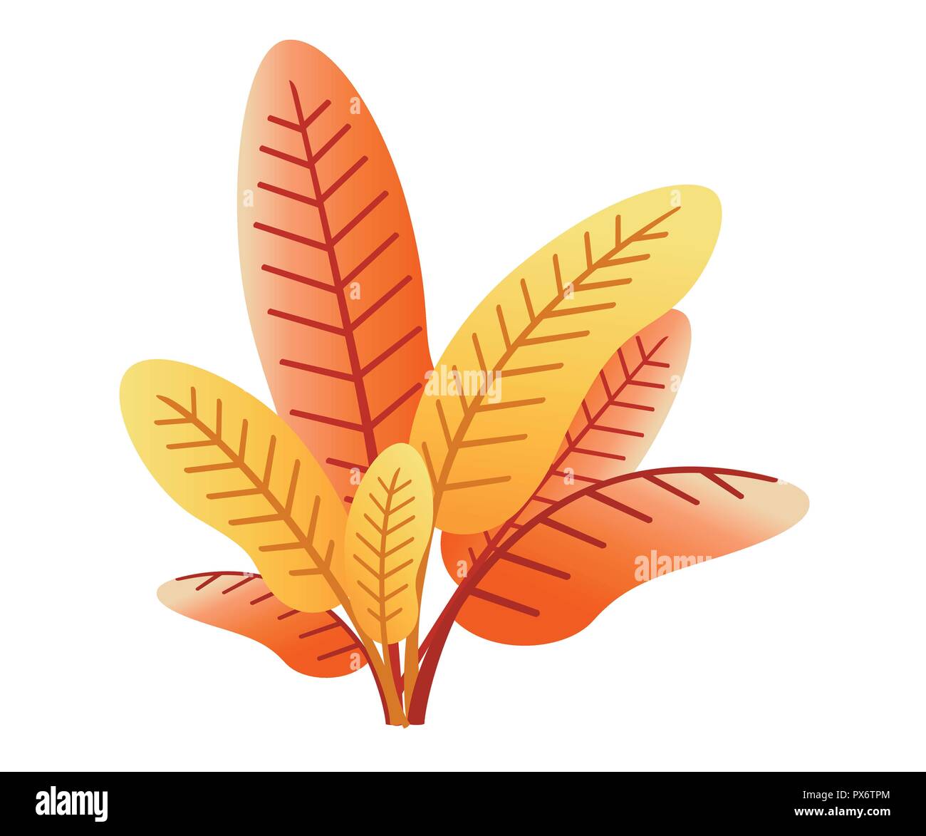 Plante sauvage Orange. L'icône de l'usine d'automne. Pelouses et pâturages de plus en plus court, les plantes sauvages ou cultivées jardin prairie, aliments pour le bétail. Télévision vector illustration Illustration de Vecteur