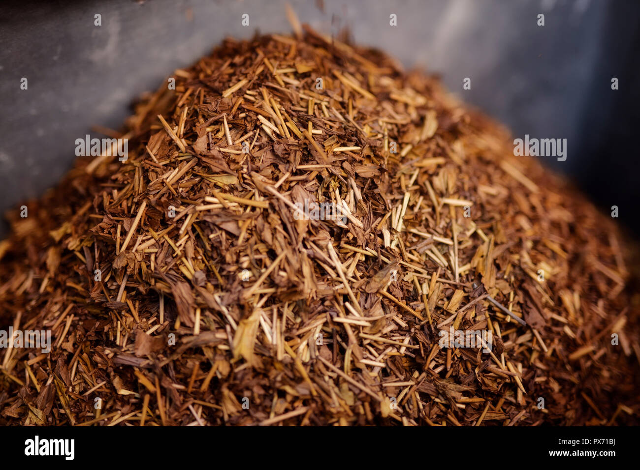 Hojicha, célèbre basse fraîchement torréfié la caféine du thé vert, connu aussi sous le nom de Hoji Cha, Hoji-Cha, Houjicha, réalisés dans la ville d'Uji, capitale japonaise de thé. U Banque D'Images