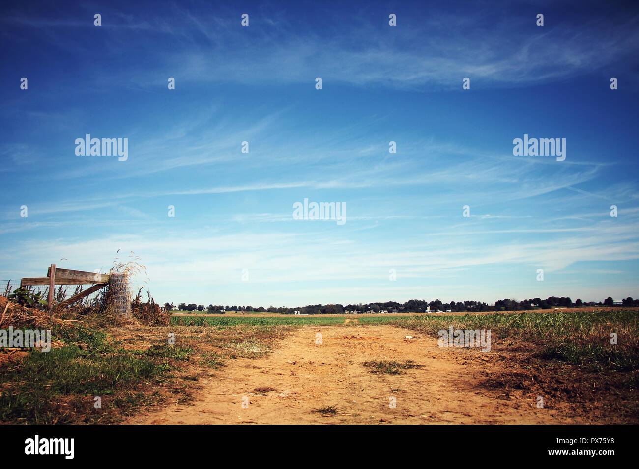 Domaine, champ lane et clôture contre un ciel bleu dans une ferme dans le comté de Lancaster dans l'été. Banque D'Images