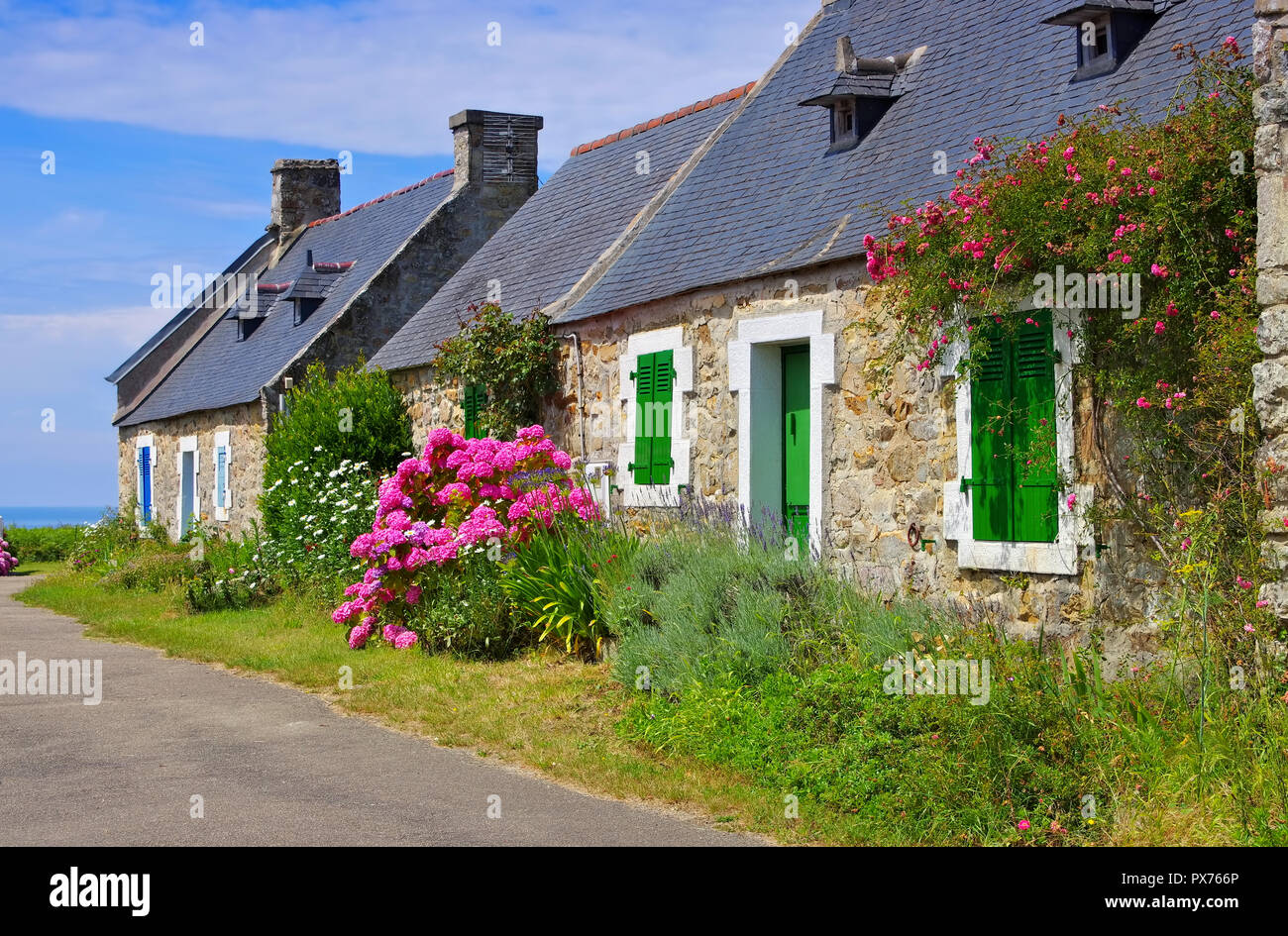 Maison ancienne et typique de la fleur d'hortensias en Bretagne, France Banque D'Images