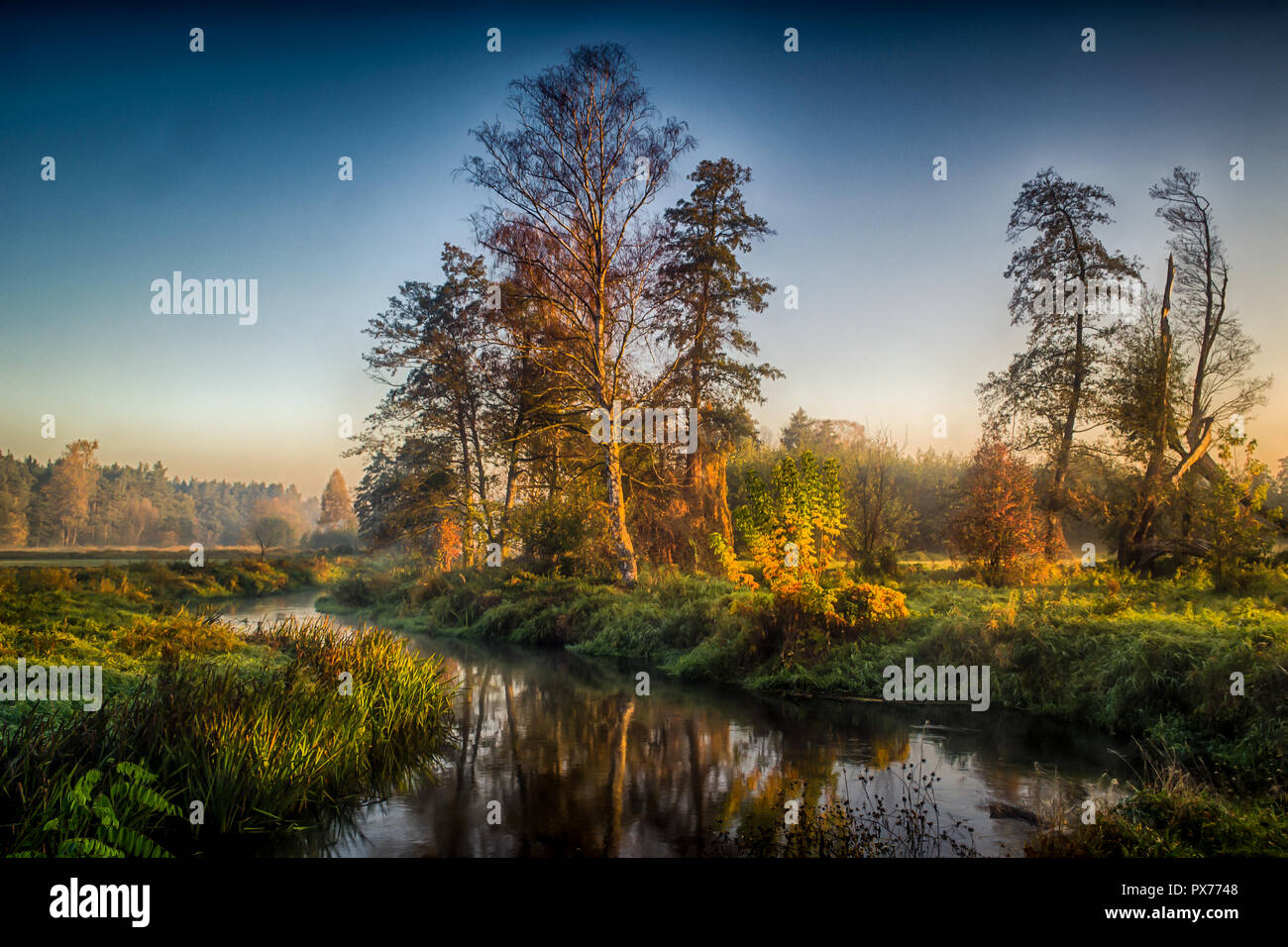 River dans le brouillard, juste avant le lever du soleil. Une lueur chaude dans les nuages à partir des premiers rayons du soleil. Banque D'Images