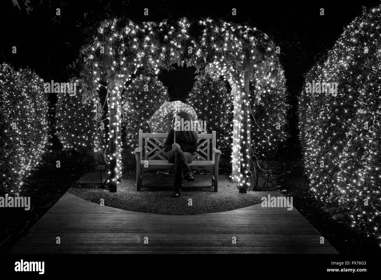 Femme assise seule sur le banc de parc holdling ; parapluie claire entre les lumières de Noël (B&W) - North Carolina Arboretum, Asheville, Caroline du Nord, États-Unis Banque D'Images