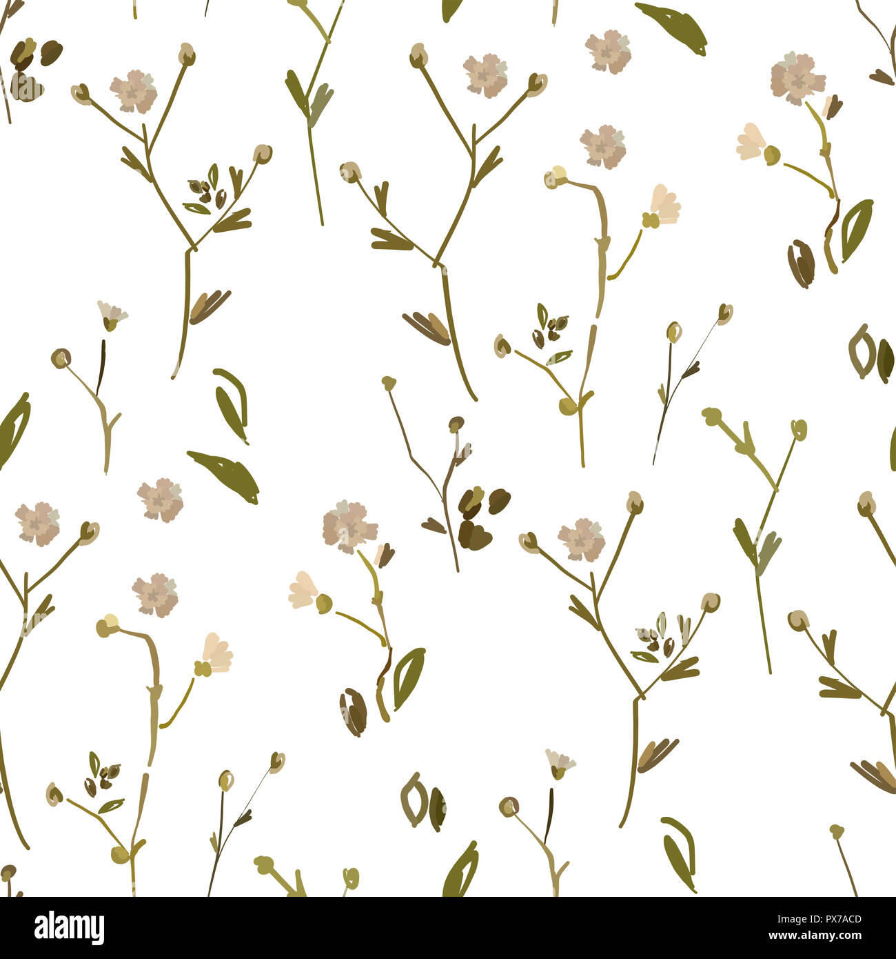 Design Floral seamless pattern sur fond blanc. Fleurs sauvages d'été, des feuilles et des plantes à la main sur fond blanc. Illustration Vecteur de tex Banque D'Images