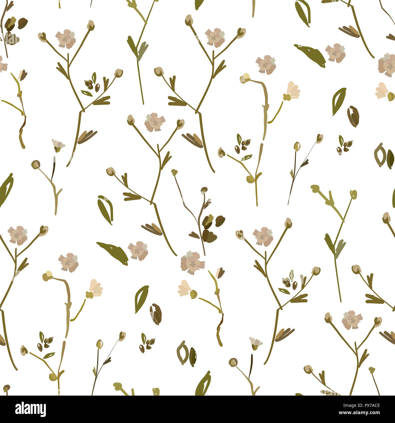 Design Floral seamless pattern sur fond blanc. Fleurs sauvages d'été, des feuilles et des plantes à la main sur fond blanc. Illustration Vecteur de tex Banque D'Images