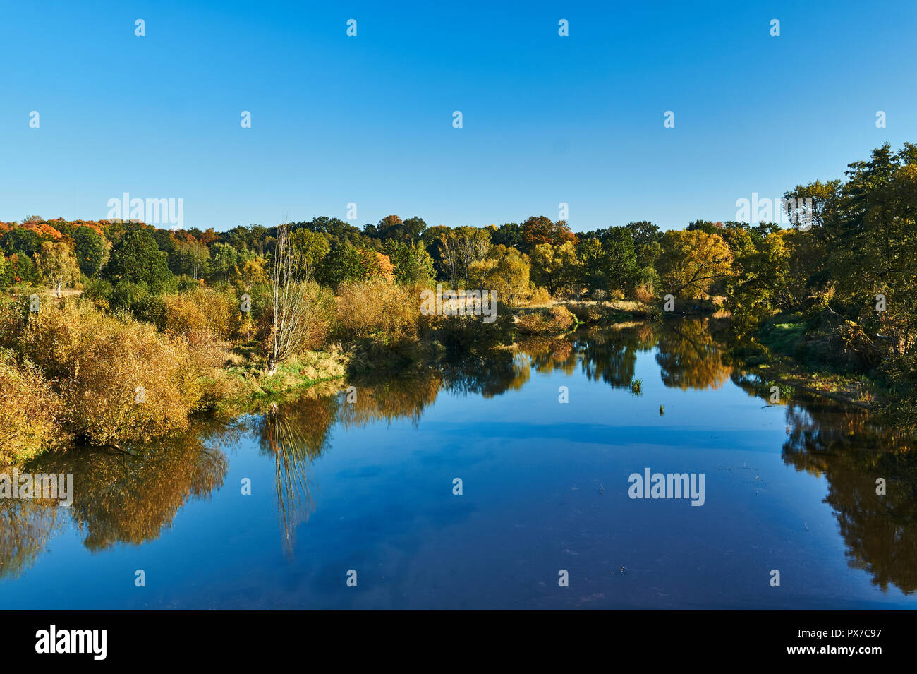 Des arbres sur les rives de la Neisse de Lusace au cours de l'automne sur la frontière entre la Pologne et l'Allemagne Banque D'Images