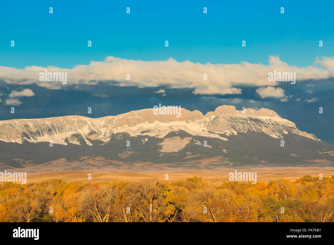 La crête de scie le long de la façade, au-dessus des montagnes rocheuses dans les peupliers de la couleur de l'automne près de augusta, Montana Banque D'Images