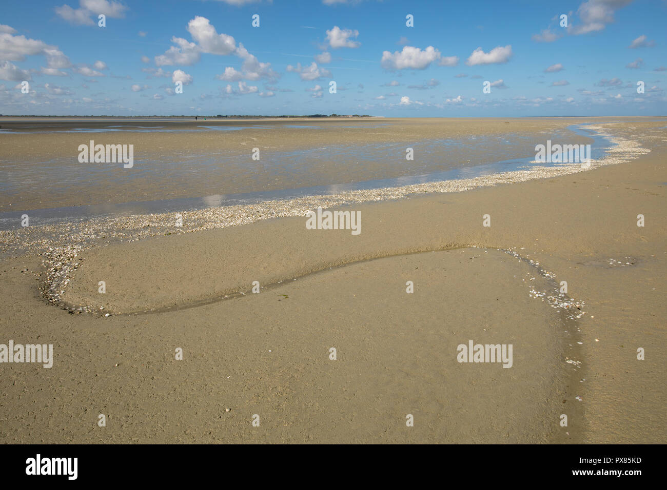 Petit rivière qui coule sur la plage dans la mer, Baie de Somme, Picardie, France Banque D'Images