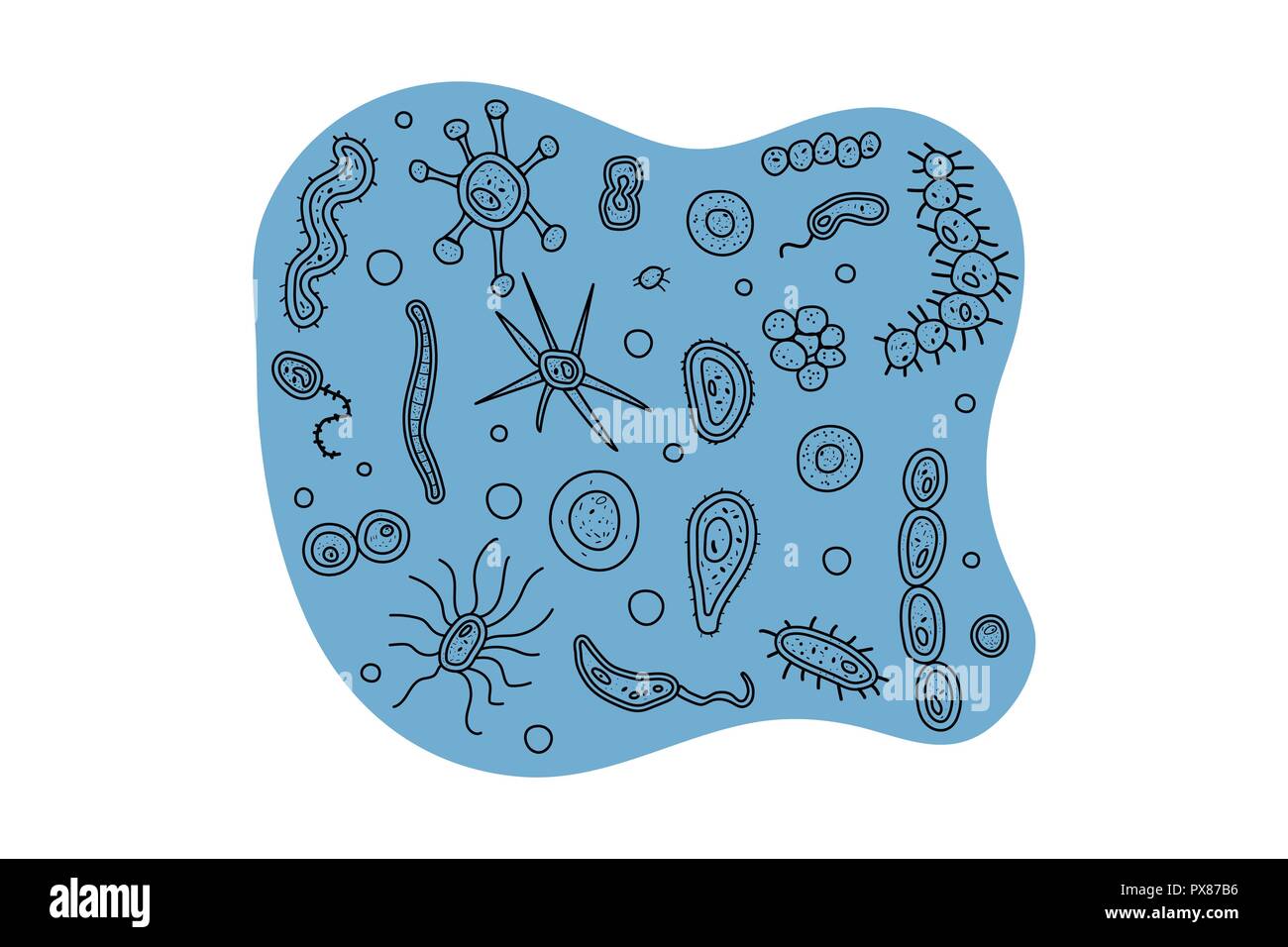 Les cellules des bactéries bannière. Collection de micro-organismes. Style doodle vecteur composition. Illustration de Vecteur