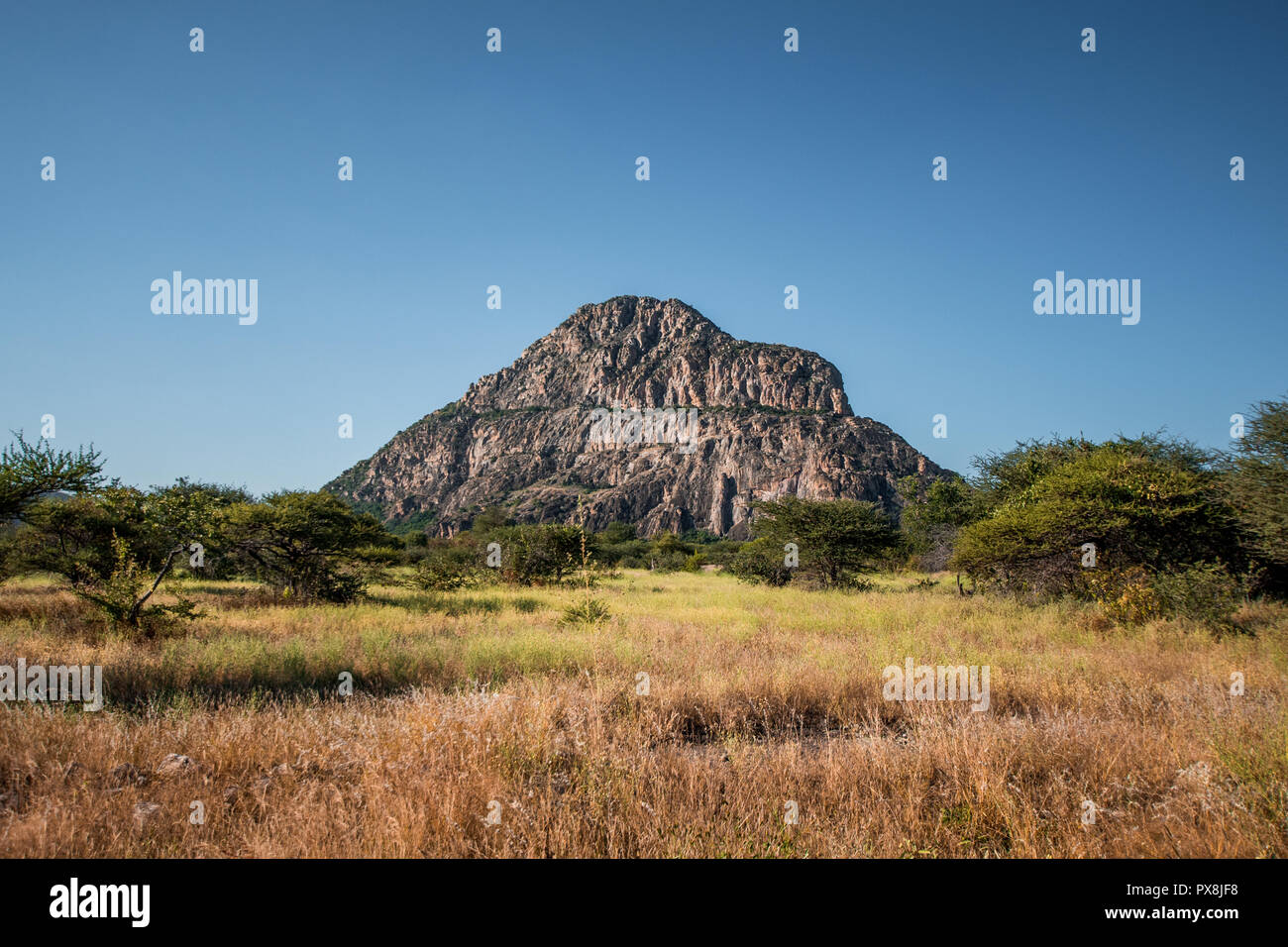 Une vue de la colline de sexe masculin à Tsodilo Hills, site du patrimoine mondial de l'UNESCO dispose d''anciennes peintures rupestres San. Sur la photo au milieu herbacé et plaines arides Banque D'Images