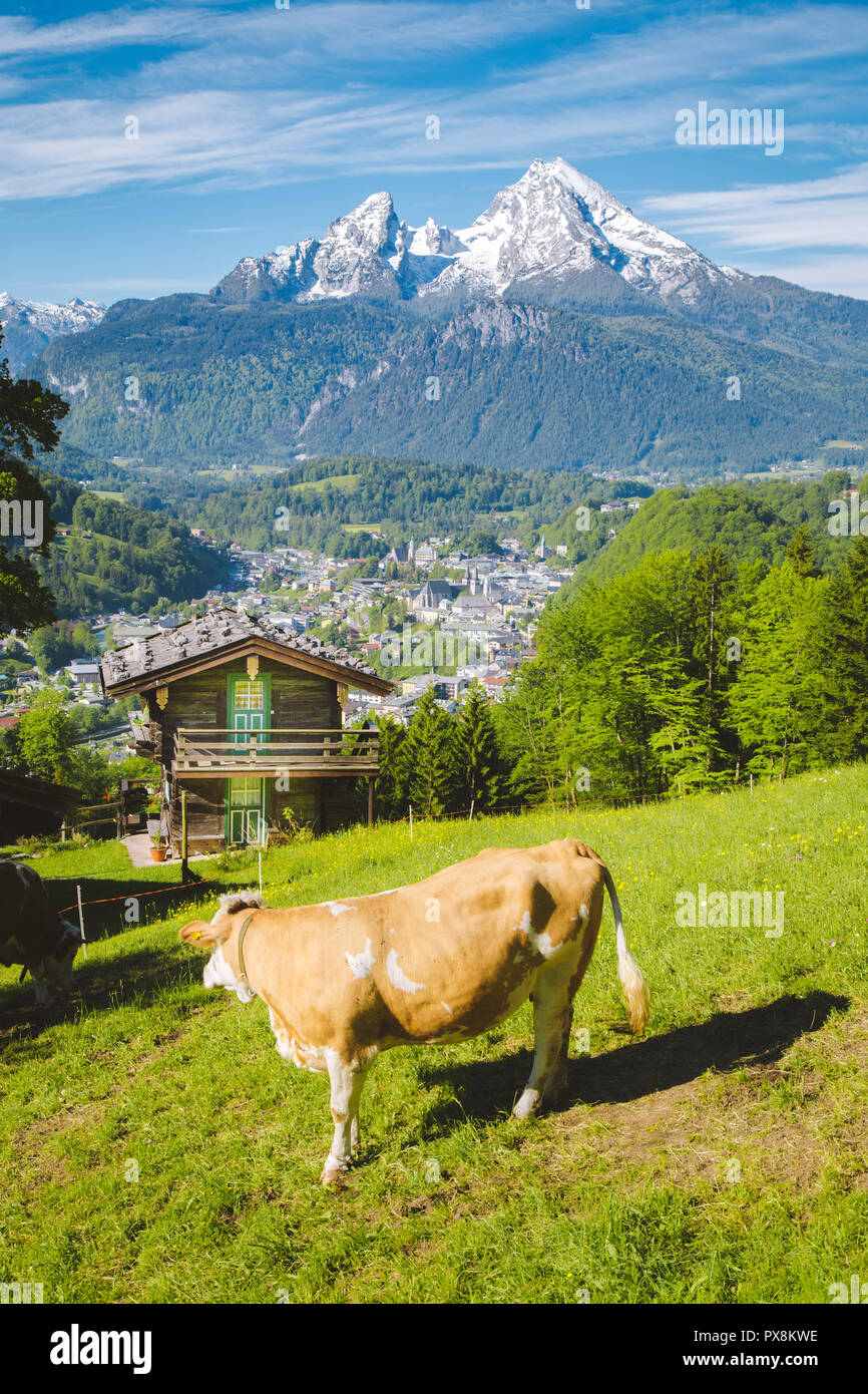 Belle vue panoramique sur un paysage alpin idyllique avec chalets de montagne traditionnels et des vaches paissant sur des prairies vertes sur une belle journée ensoleillée avec bl Banque D'Images