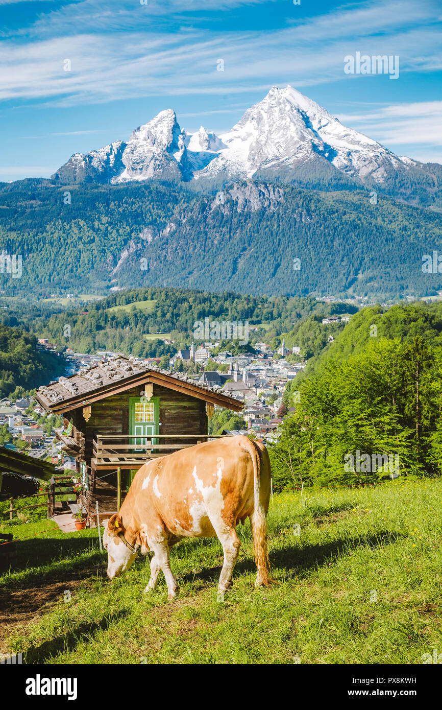 Belle vue panoramique sur un paysage alpin idyllique avec chalets de montagne traditionnels et des vaches paissant sur des prairies vertes sur une belle journée ensoleillée avec bl Banque D'Images
