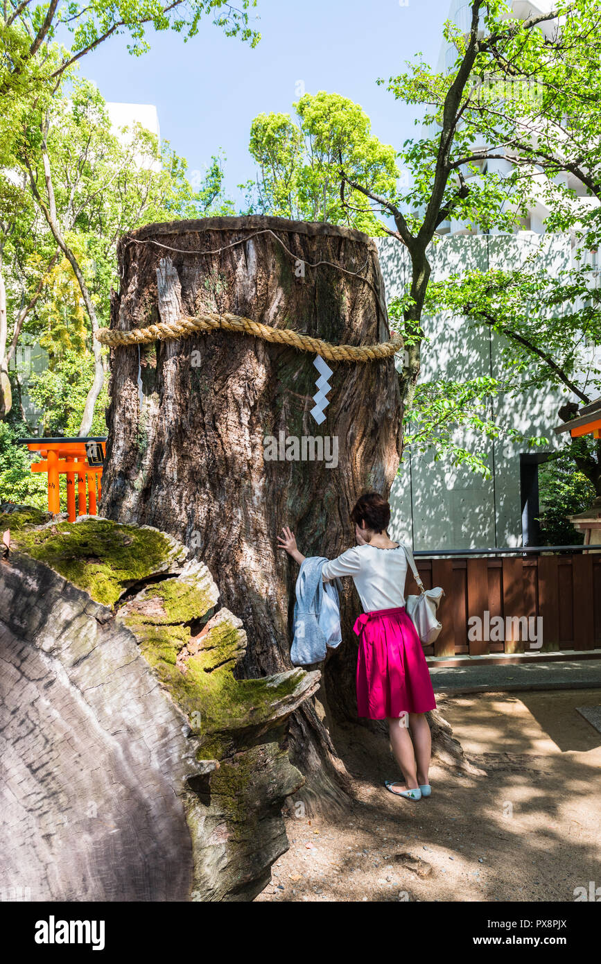 Prier pour l'amour ou un bon mariage à l'ancien cèdre dans le parc de l'Ikuta culte à Kobe, Japon Banque D'Images