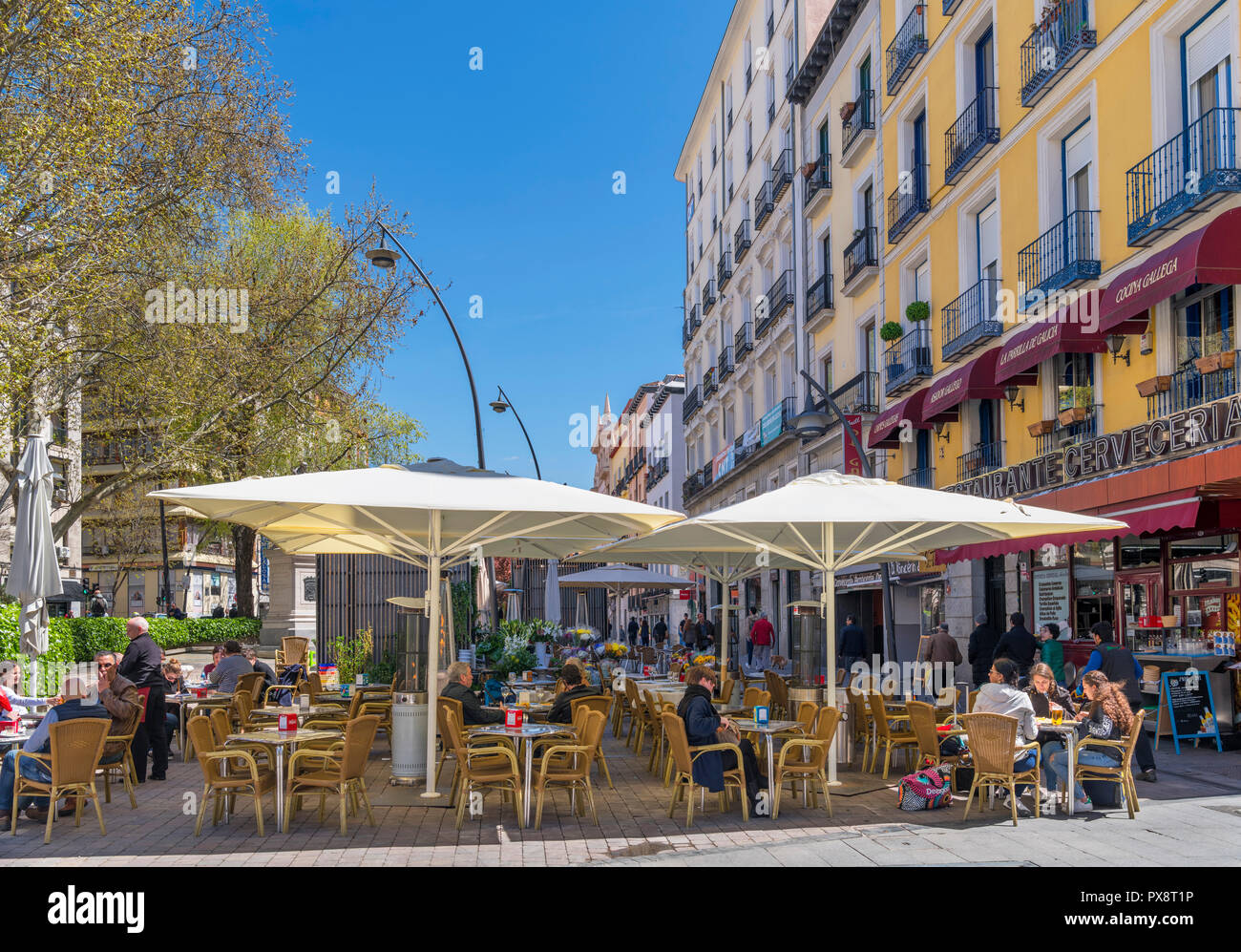 Café avec terrasse sur la Plaza de Tirso de Molina, quartier La Latina / Lavapies, Madrid, Espagne Banque D'Images