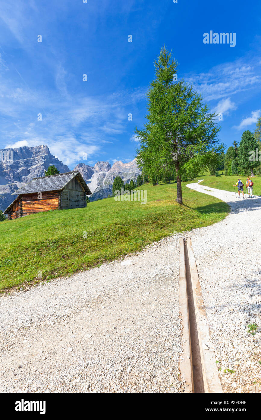 Les randonneurs marche sur une piste. Longiarù, Badia, le Tyrol du Sud, Dolomites, Italie, Europe. Banque D'Images