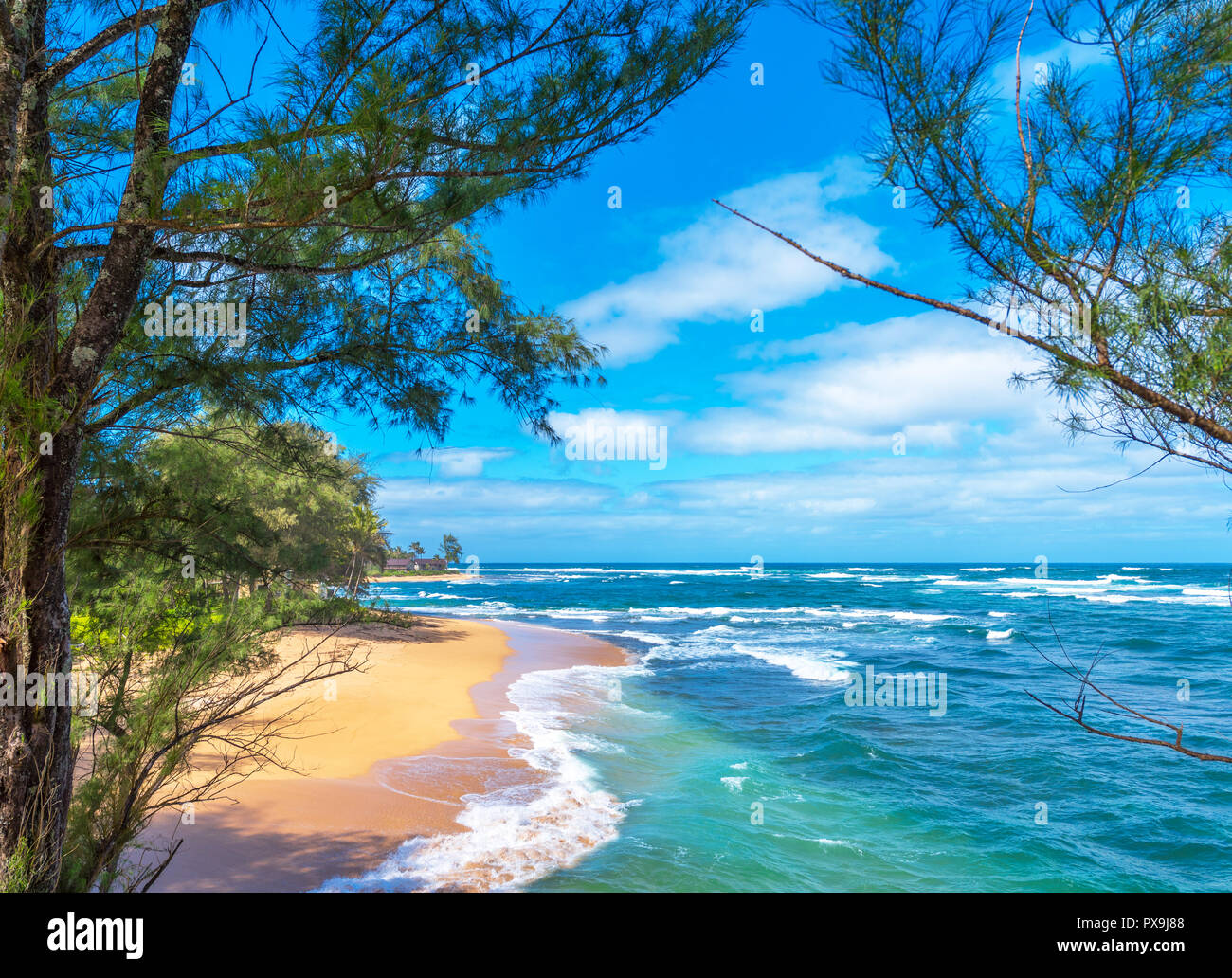 Vue sur la plage de sable, Kauai, Hawaii, USA Banque D'Images
