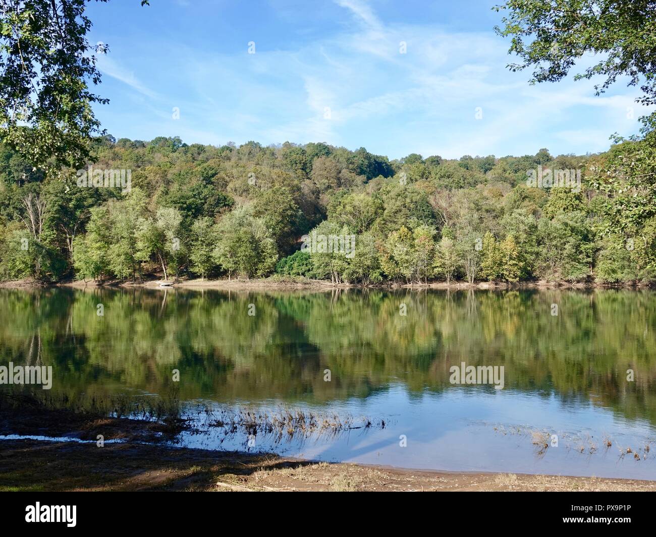 À la Direction générale de l'ensemble de l'ouest de la rivière Susquehanna dans un cadre rural, avec un littoral très boisée. Lycoming Comté, Pennsylvania, USA. Banque D'Images