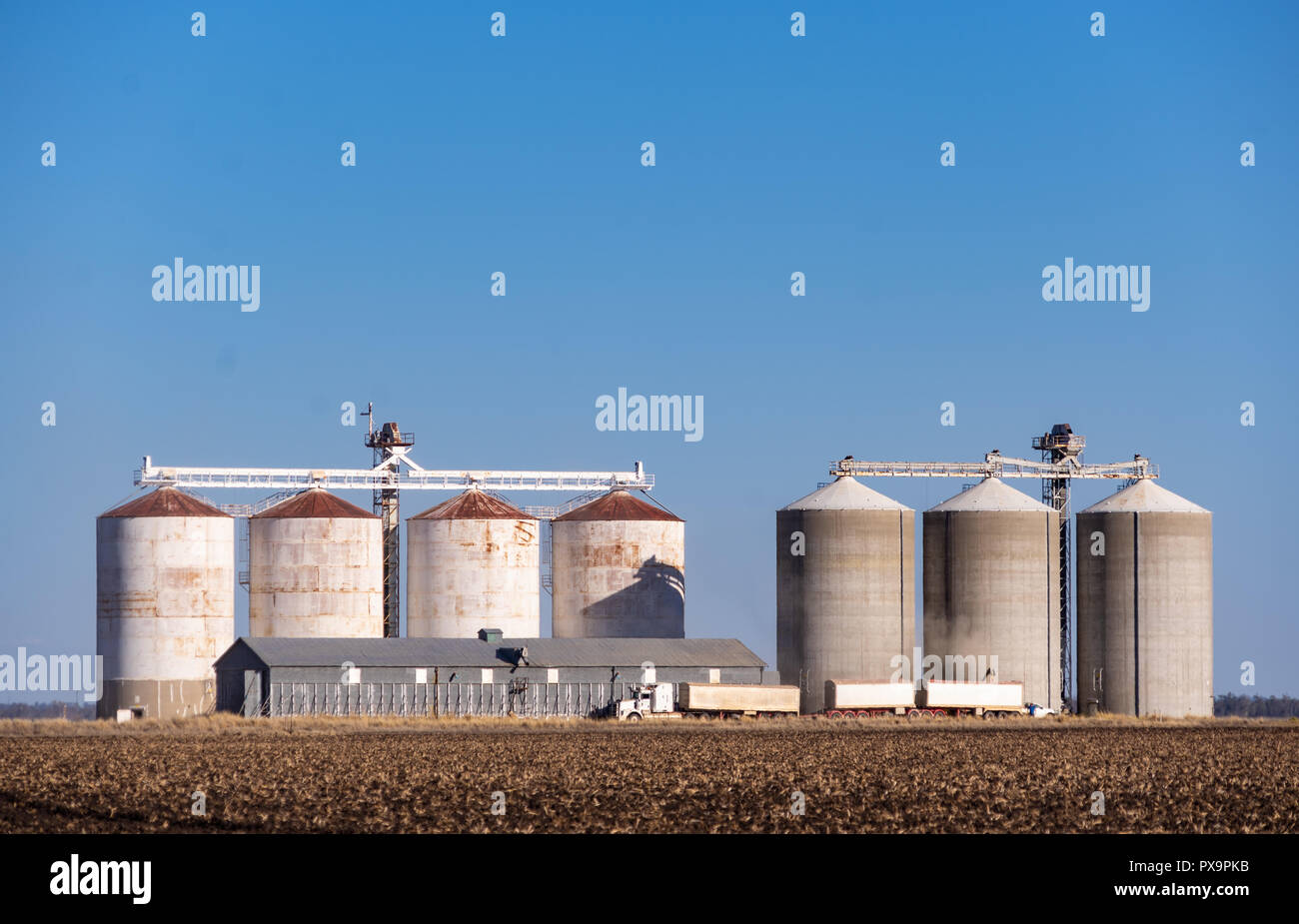Super grand silos en béton pour le stockage du grain Banque D'Images