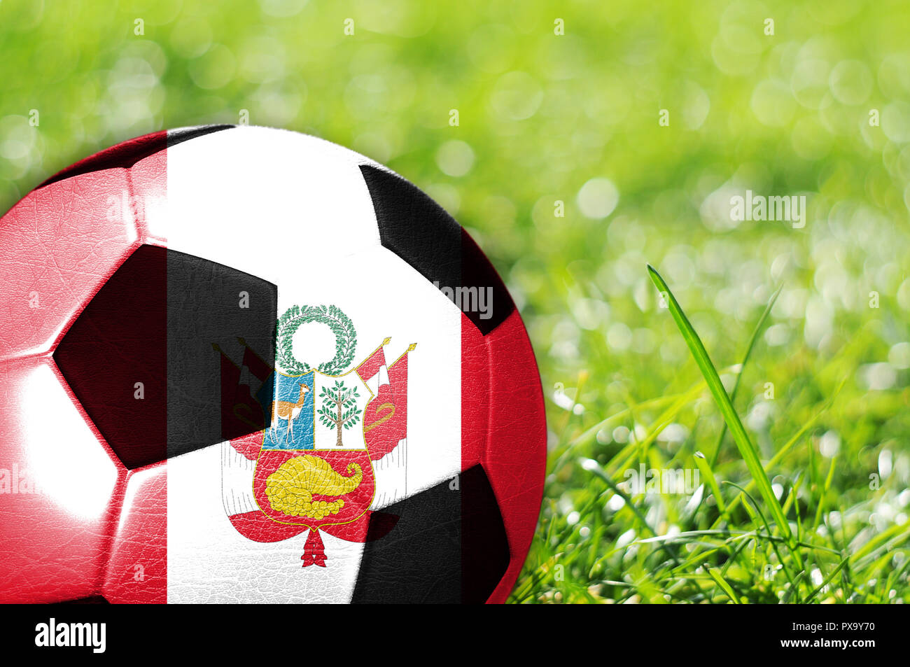 Ballon de soccer sur l'herbe avec le drapeau du Pérou peint sur elle Banque D'Images
