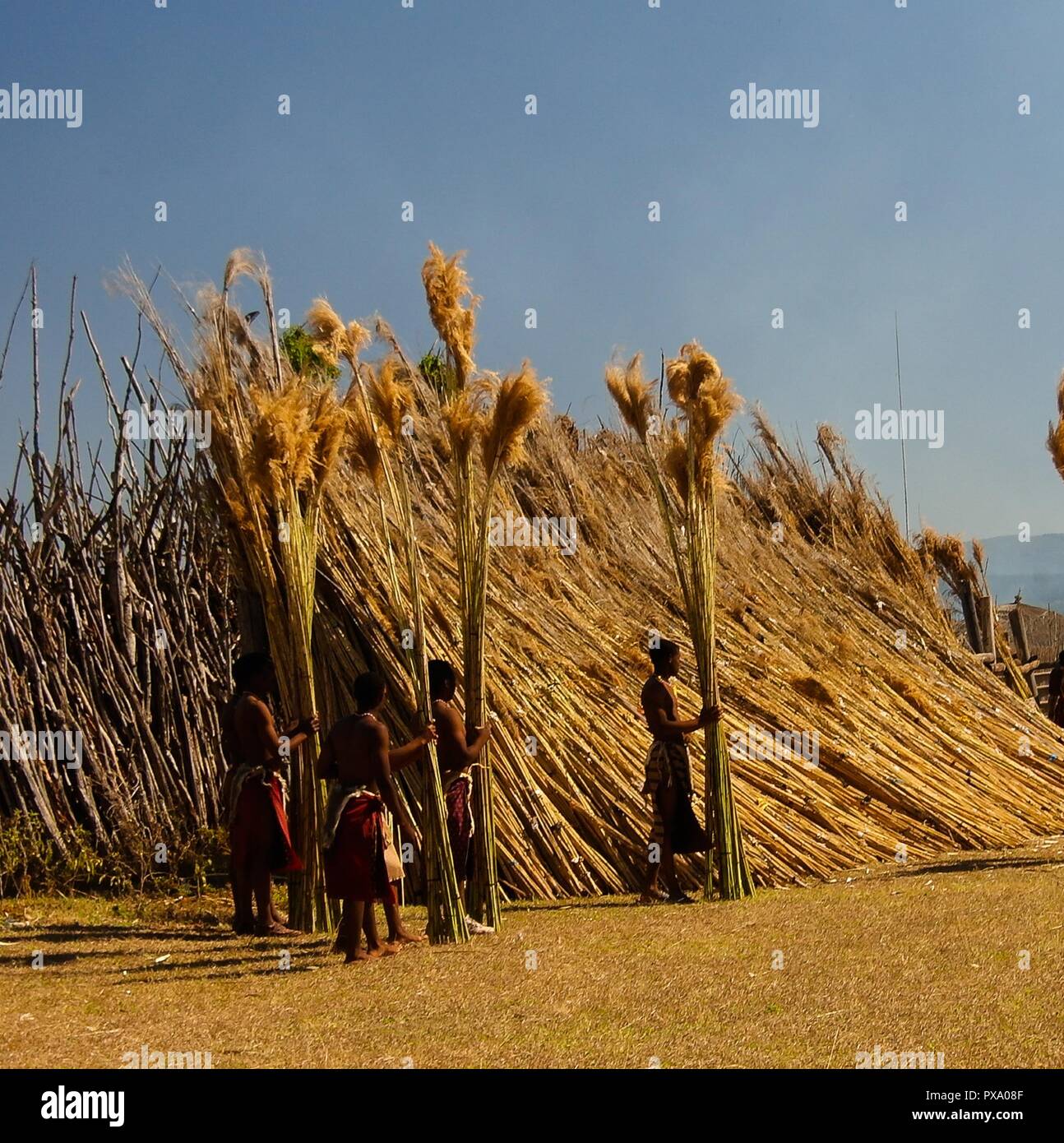 Swazi reed dance festival Banque de photographies et d’images à haute ...