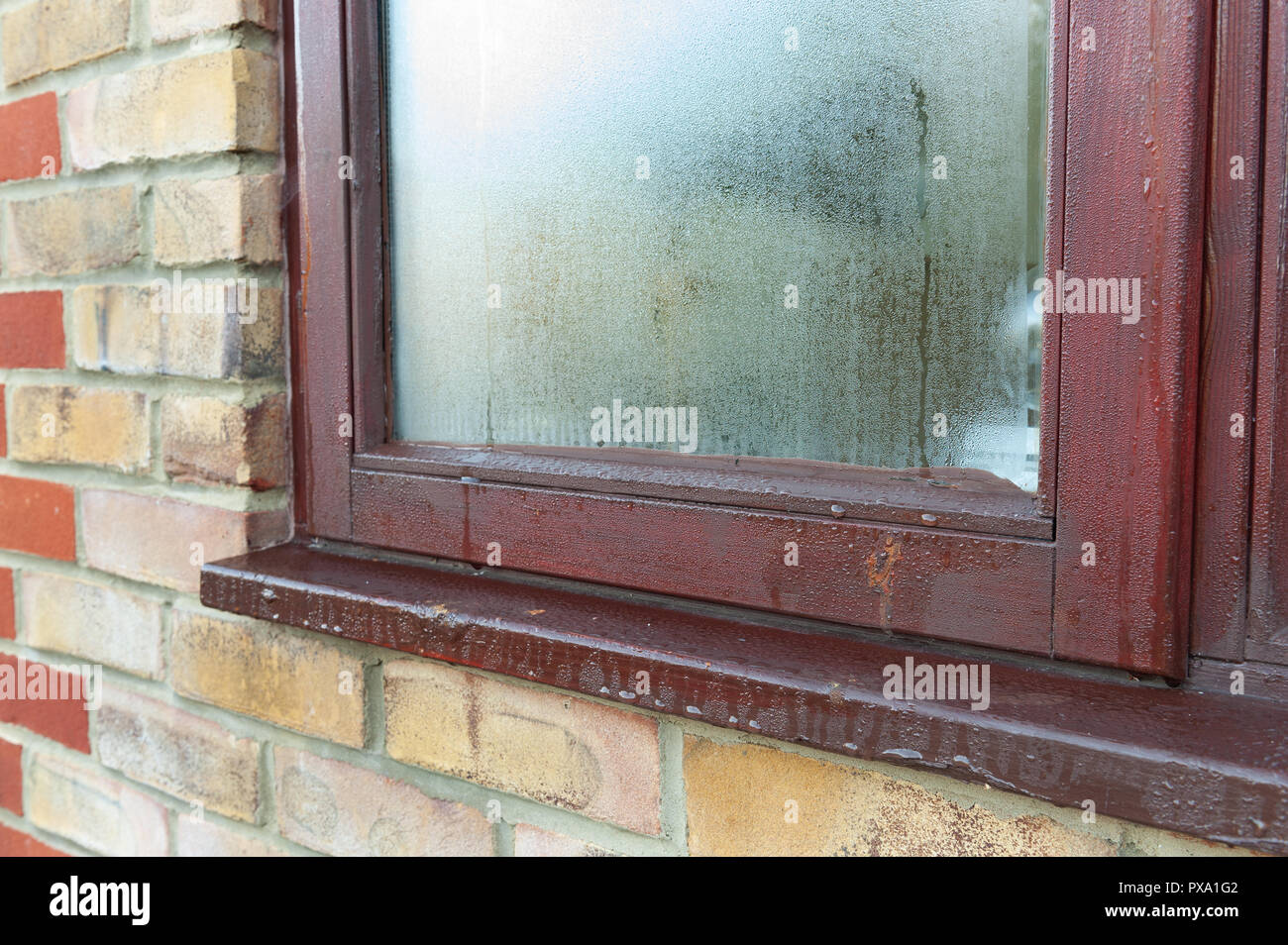 L'eau se condense sur la surface extérieure de la vitre comme la  température du verre est inférieure à la température du point de rosée de  l'extérieur, à l'automne Photo Stock - Alamy