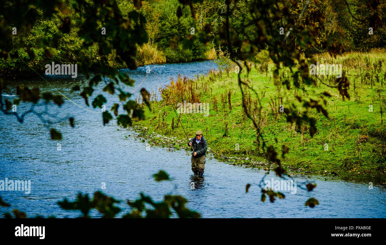 Un pêcheur sur la rivière Tweed près de Innerleithen, Scottish Borders Banque D'Images