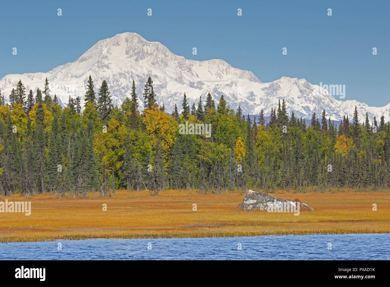 Vue du mont McKinley montrant le haut couvert de neige dans le Parc National Denali Alaska USA Banque D'Images