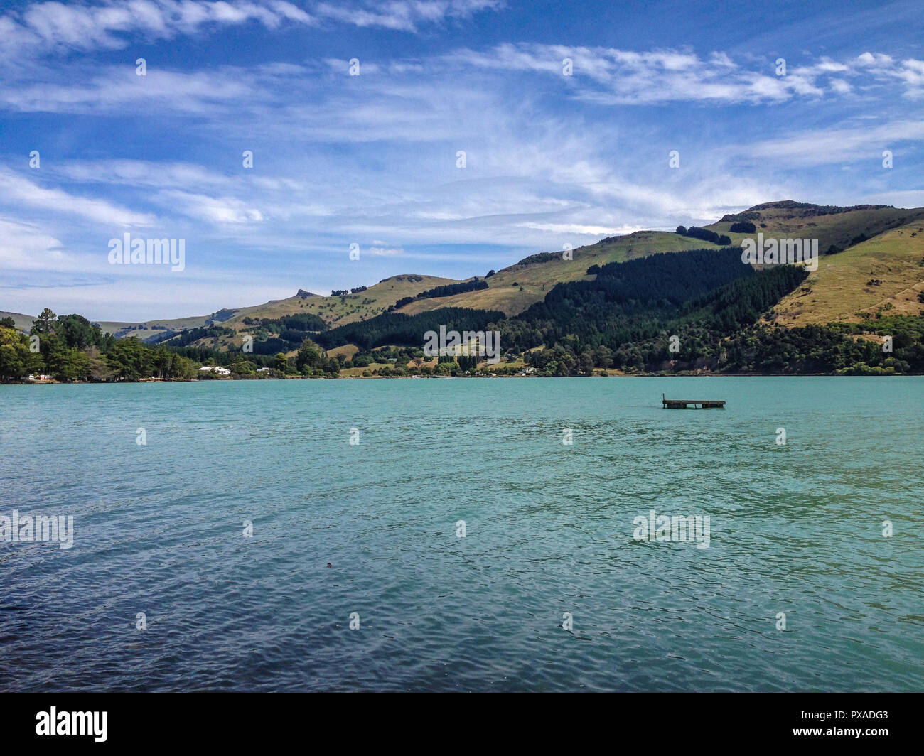 La baie Pigeon sur la péninsule de Banks, Canterbury, île du Sud, Nouvelle-Zélande Banque D'Images