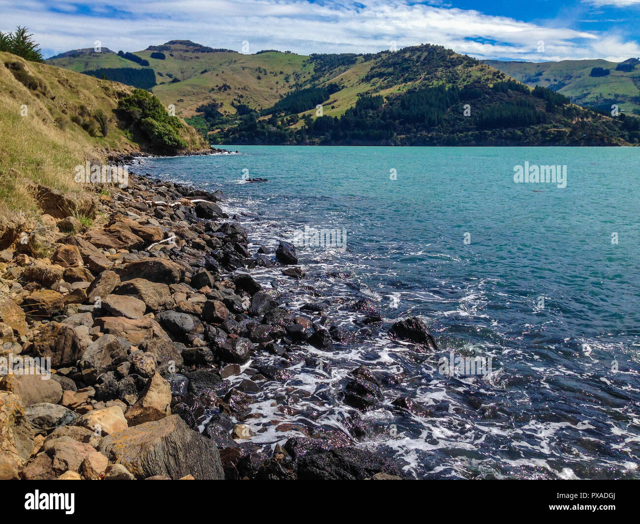 La baie Pigeon sur la péninsule de Banks, Canterbury, île du Sud, Nouvelle-Zélande Banque D'Images