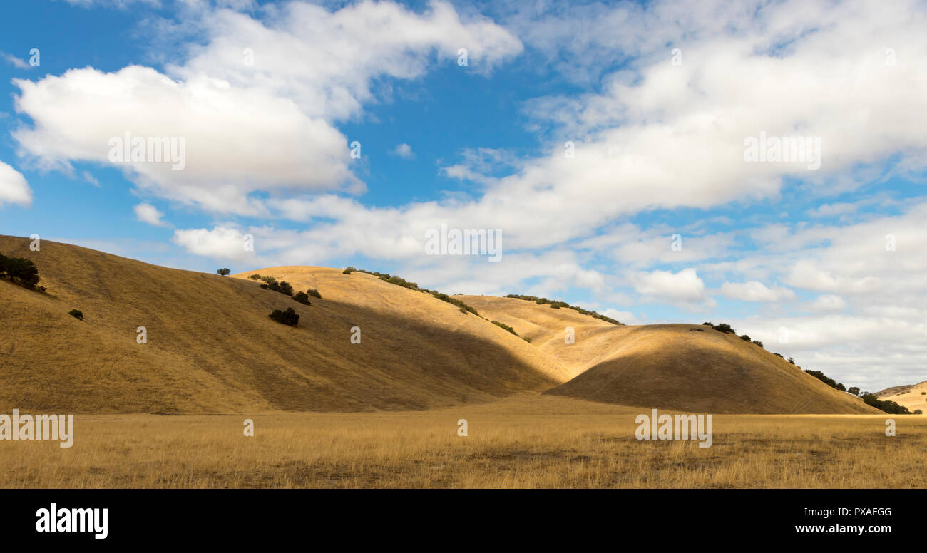 Collines d'herbe sèche à l'automne, le Centre de la Californie, USA. Banque D'Images Collines d'herbe sèche à l'automne, le Centre de la Californie, USA. Banque D'Images