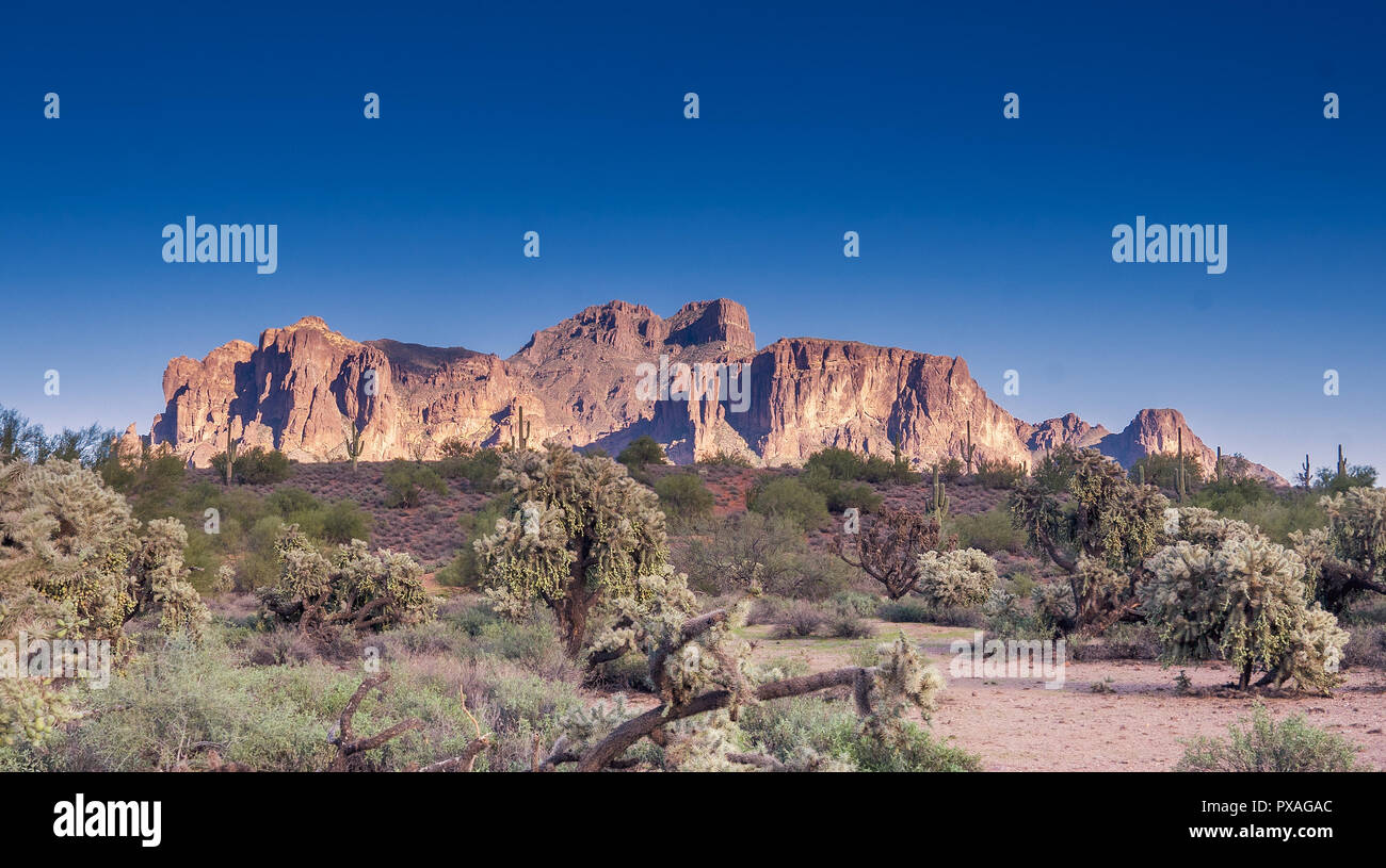 Paysage du désert Superstition Mountain à Mesa, Az, Etats-Unis Banque D'Images
