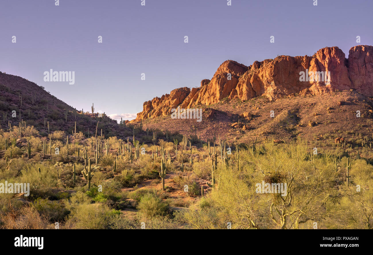 South West USA, Arizona désert Paysage, Superstition Mountain près de Phoenix. Banque D'Images