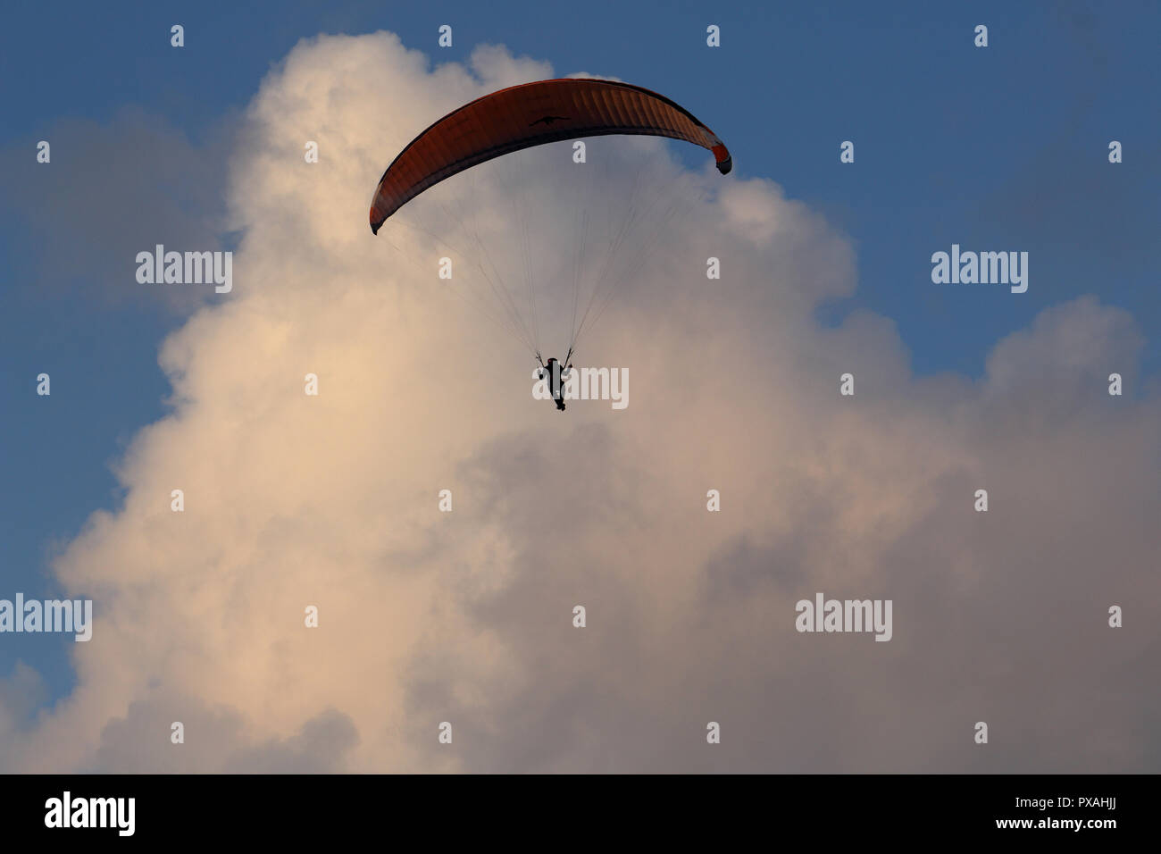 Para un planeur vole haut dans le ciel au-dessus de la mer Baltique, en Pologne. Banque D'Images