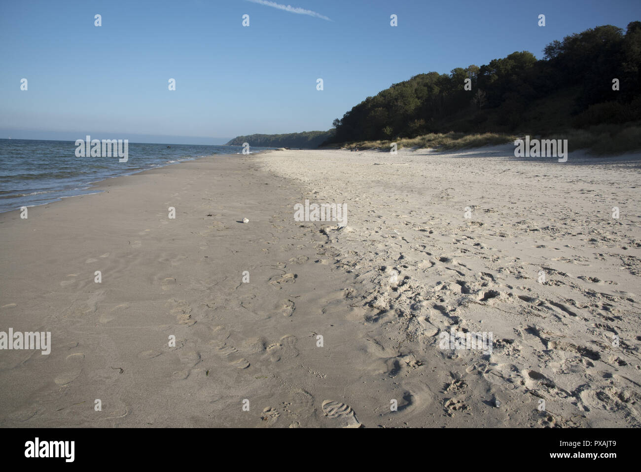 Un sable appelé Nordstrand en face d'une côte escarpée mène de l'ouest à l'Gellort appelé extrême nord de l'île de Rügen en Allemagne. Banque D'Images